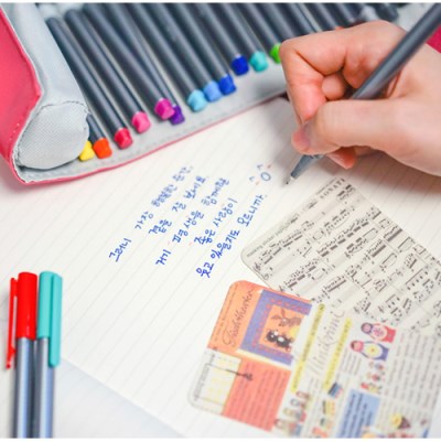 Staedtler 334 0.3mm Fine Liner 單色筆