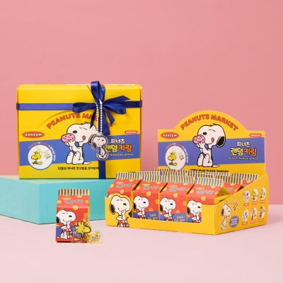 Snoopy 隨機鎖匙扣套裝（12 件）