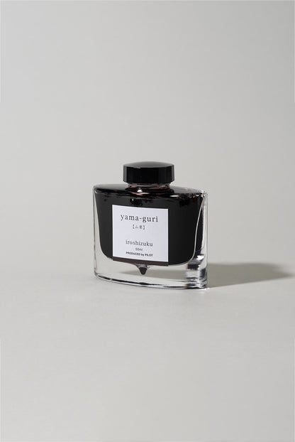 Pilot Iroshizuku Ink Yama-guri